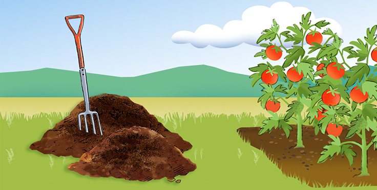 Kompost ist eine Gartenversicherung