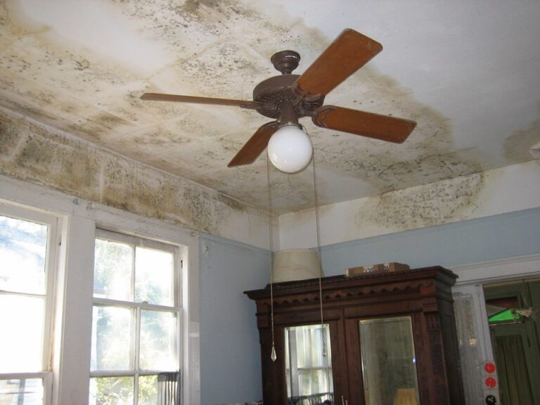 Mould-on-the-ceiling-of-a-house