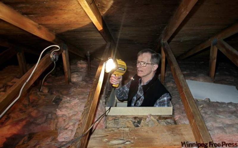 attic house inspection
