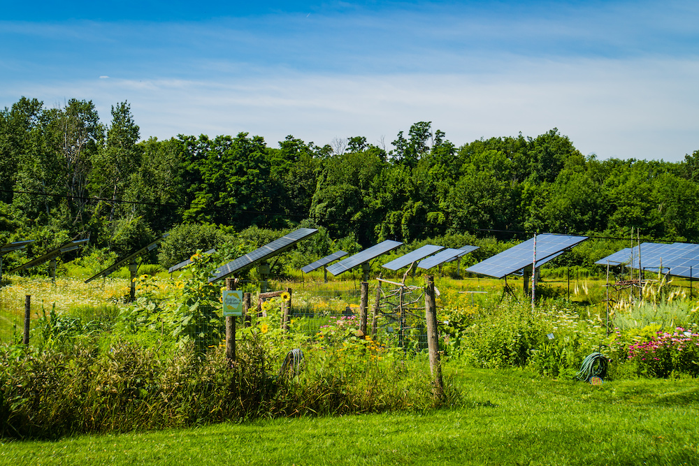 the right planning for yield optimization or how much solar can I harvest