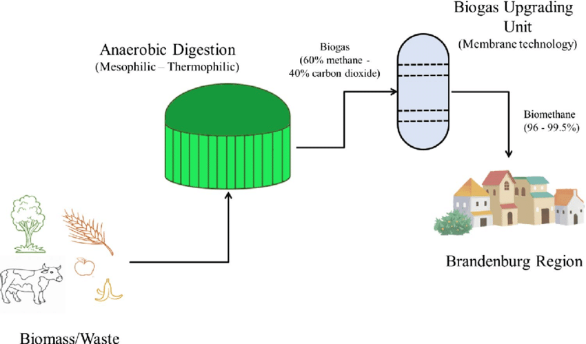 biogaspartner Biomethanbedarf Gebaeudeenergiegesetzes 2