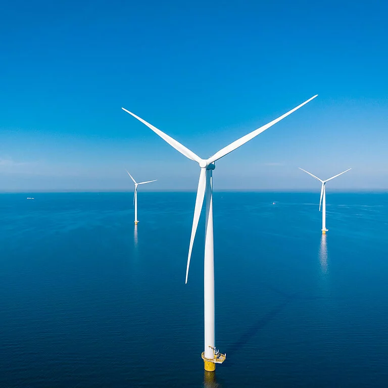 die Offshore Windenergiebranche